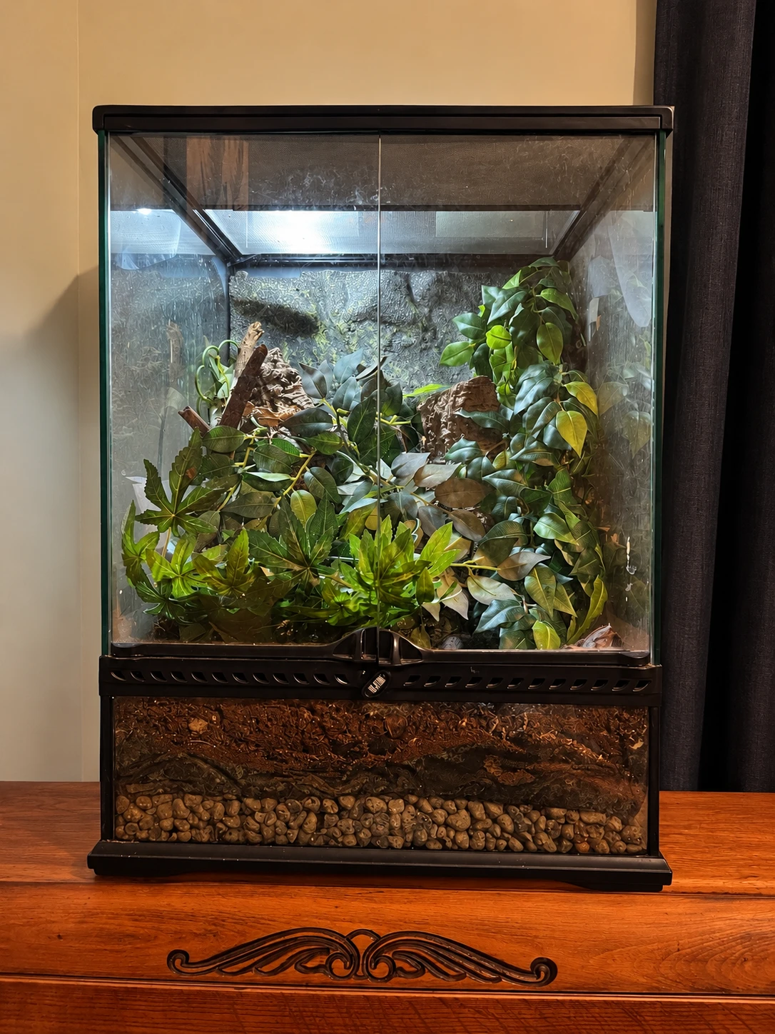 Garyville before refurbishment: the former gecko vivarium filled with artificial foliage and bark.